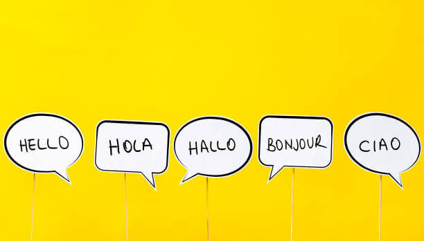 Necessity of the multilingual customer support